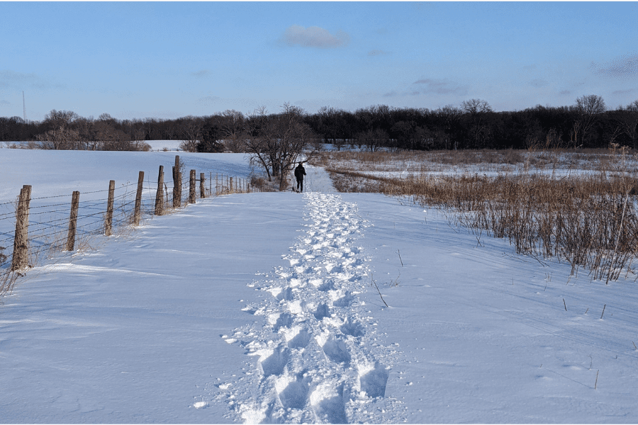 A person walks along a snowy path bordered by a fence under a clear blue sky.