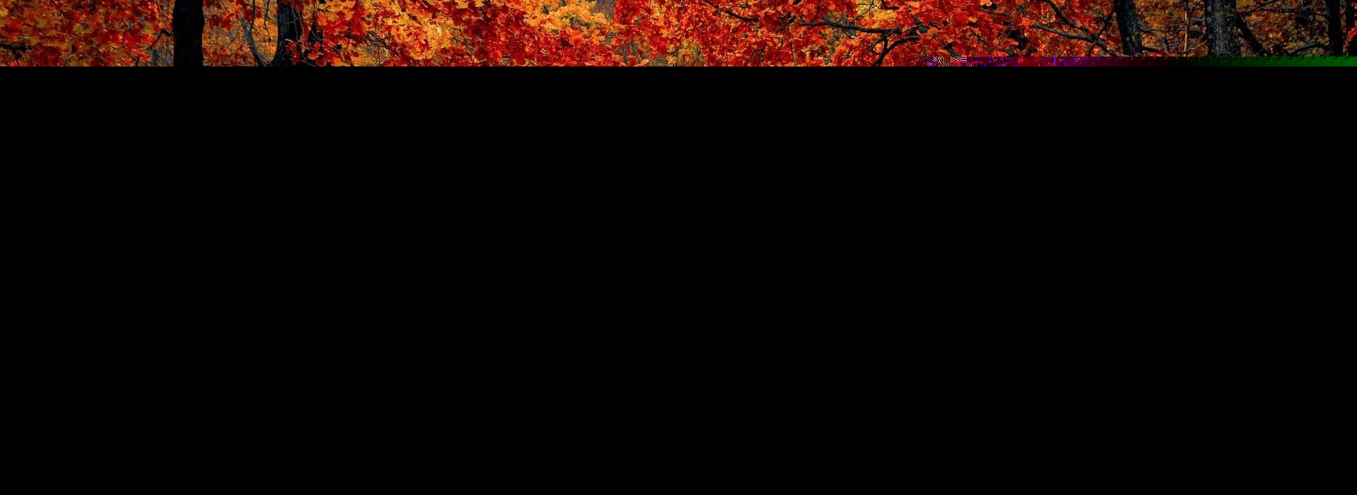 A vibrant display of autumn leaves in shades of orange and red among the trees. A vibrant display of autumn leaves in shades of orange and red among the trees.