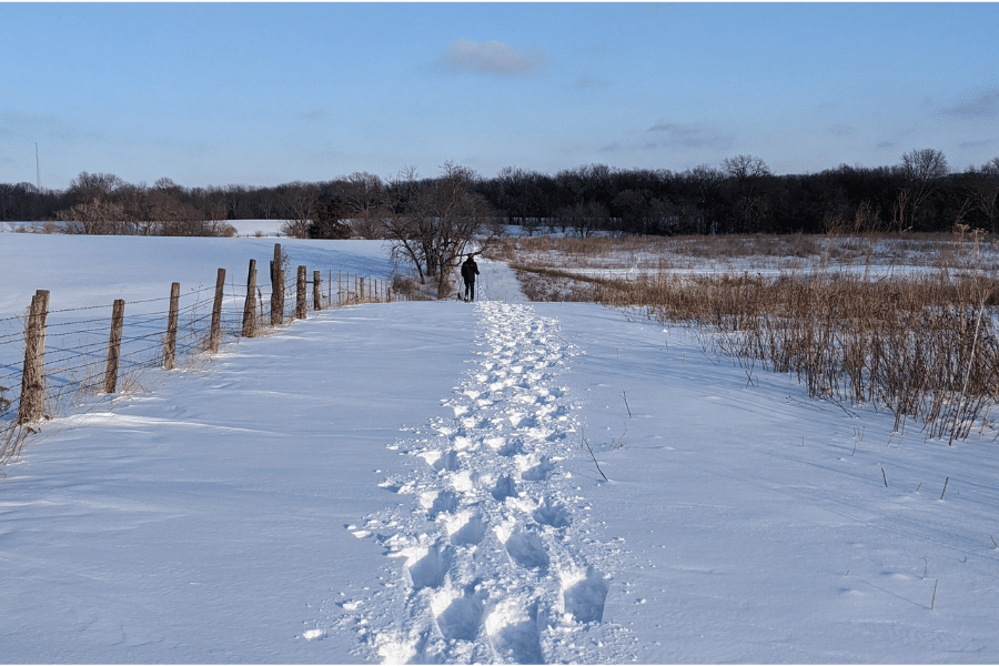 A field covered in snow with footprints in it